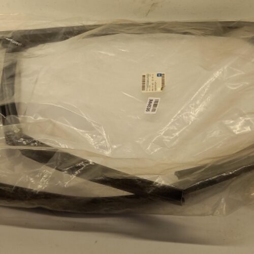 Seal, Door Window, 24449538