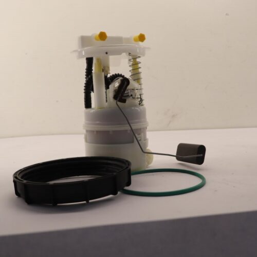 Fuel Pump, 172027859R