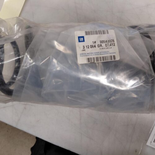 Coil Spring, 90542876