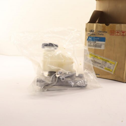 Master Cylinder, Brakes, 585102C000
