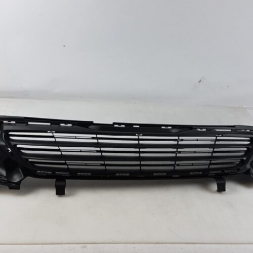 Radiator Grille, 1610745280