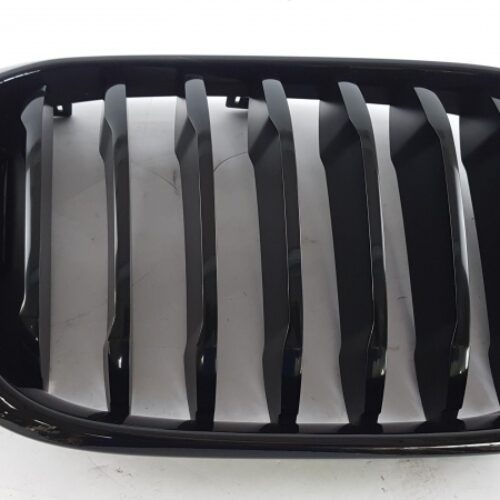 Radiator Grille, 51138469960