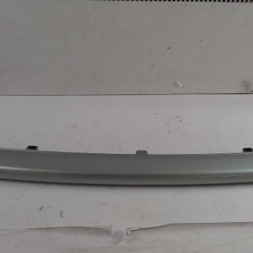 Trim/Protective Strip, Bumper, LR024324