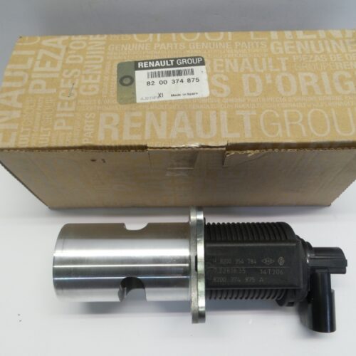 EGR Valve, 8200374875