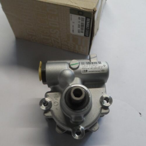 Hydraulic Pump, Steering System, 491105510R