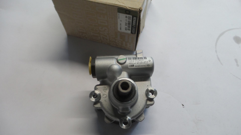 Hydraulic Pump, Steering System, 491105510R