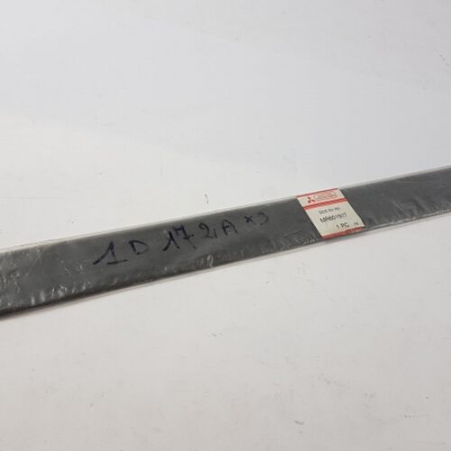 Trim/Protective Strip, Door, MR601927