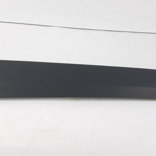 Trim/Protective Strip, Door, 808774924R
