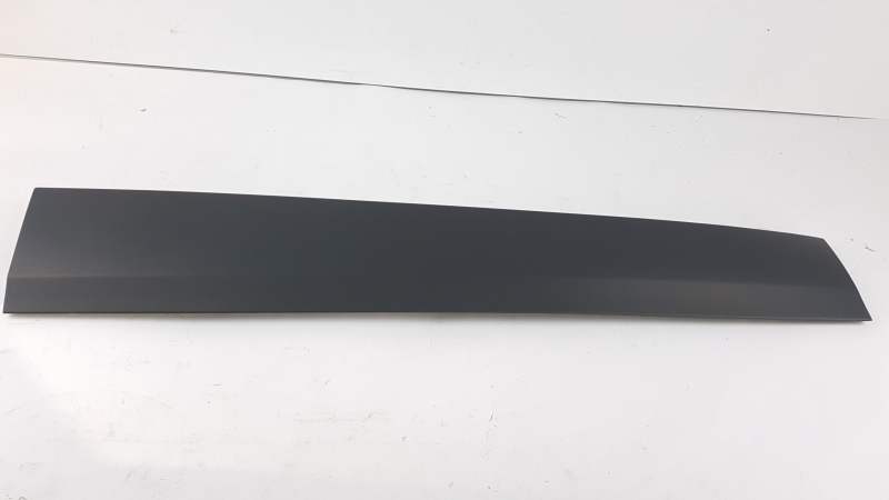 Trim/Protective Strip, Door, 808774924R