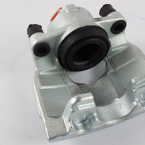 Brake Caliper, 410111495R