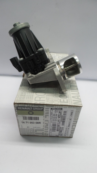 EGR Valve, 147105308R
