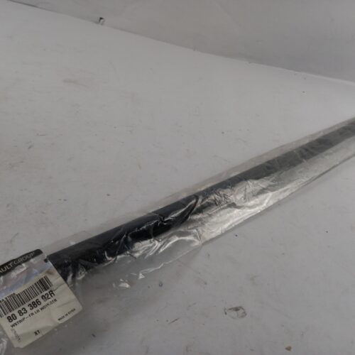 Seal, Door Window, 808338692R