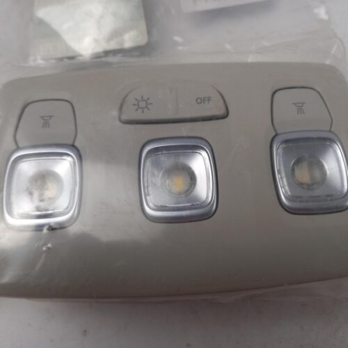 Interior Light, 264309166R