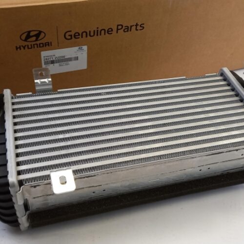 Intercooler, Charger, 282712U200