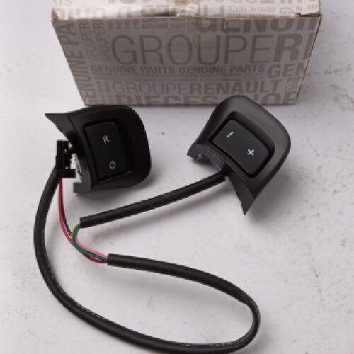 Steering Wheel Switch, 255509953R