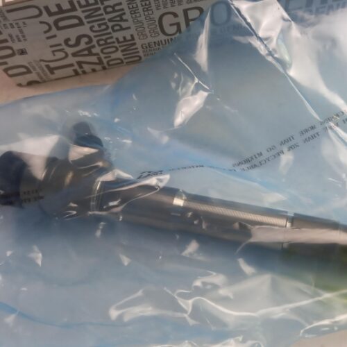 Injector, 166003281R