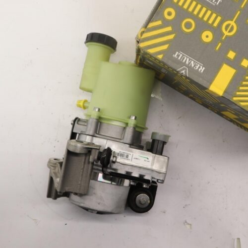 Hydraulic Pump, Steering System, 491105265R