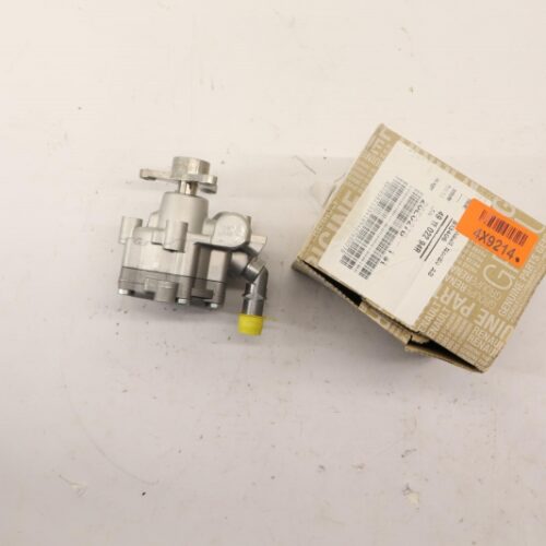 Hydraulic Pump, Steering System, 491102294R