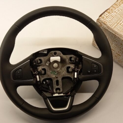 Steering Wheel, 484000110R