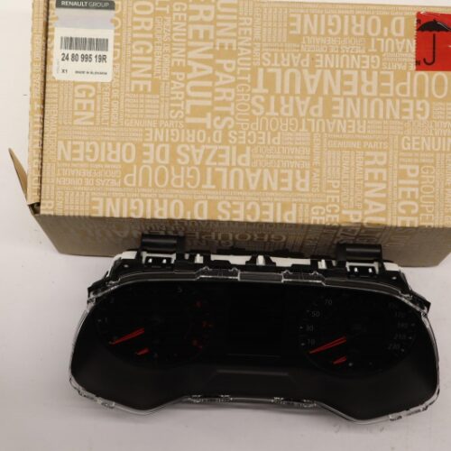 Instrument Cluster, 248099519R