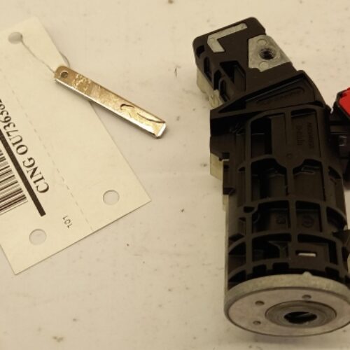Lock Cylinder, Ignition Lock, 487000834R