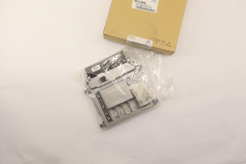 Control Unit, Engine Management, 391122B252