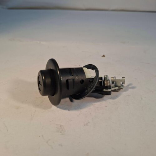 Tailgate Lock, 906001211R