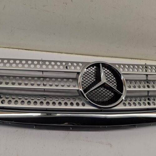 Radiator Grille, A1698801183