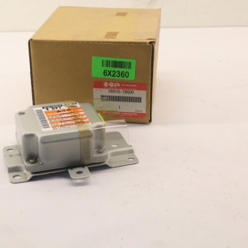 Control Unit, Airbag, 3891079G00000