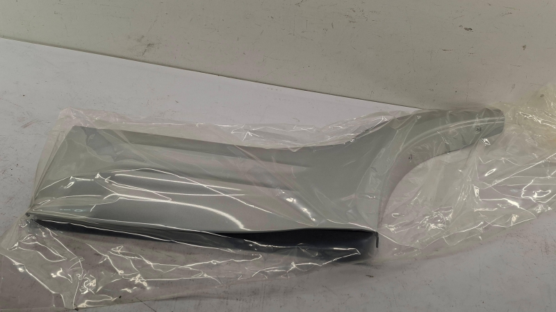 Trim/Protective Strip, Door, MR508193