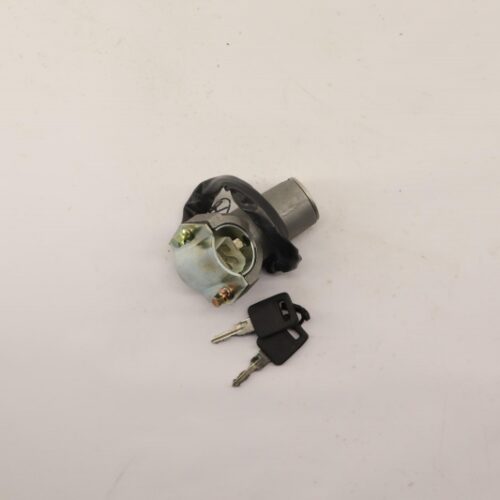 Lock Cylinder, Ignition Lock, 37100B73302